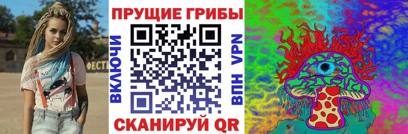 mega ссылка  дарнет шоп  Тосно  Галлюциногенные грибы Psilocybe 
